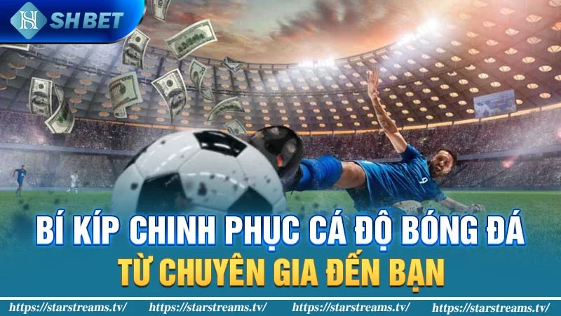 Bí kíp chinh phục cá độ bóng đá: Từ chuyên gia đến bạn