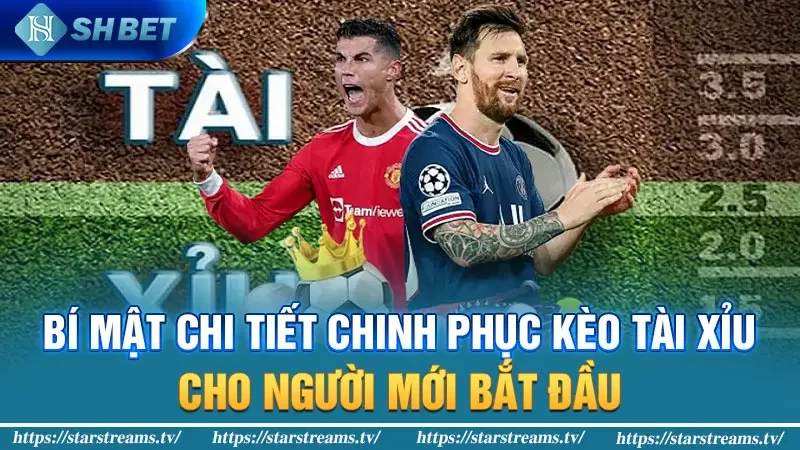 Bí mật chi tiết chinh phục kèo tài xỉu cho người mới bắt đầu