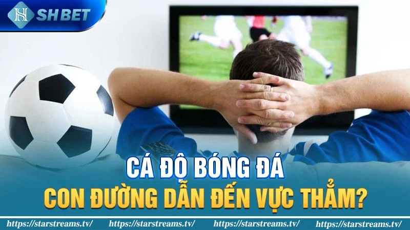 Cá độ bóng đá: Con đường dẫn đến vực thẳm?